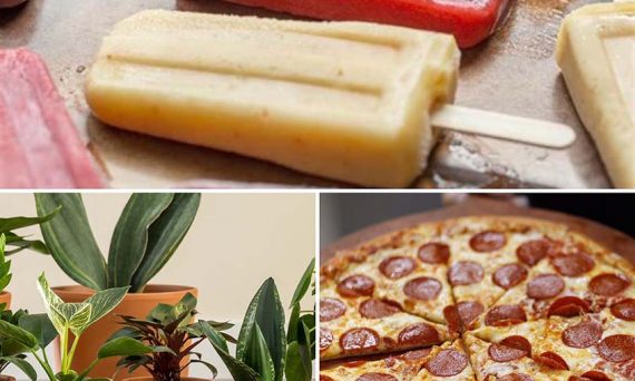 Popsicles, Pizza and Plants
