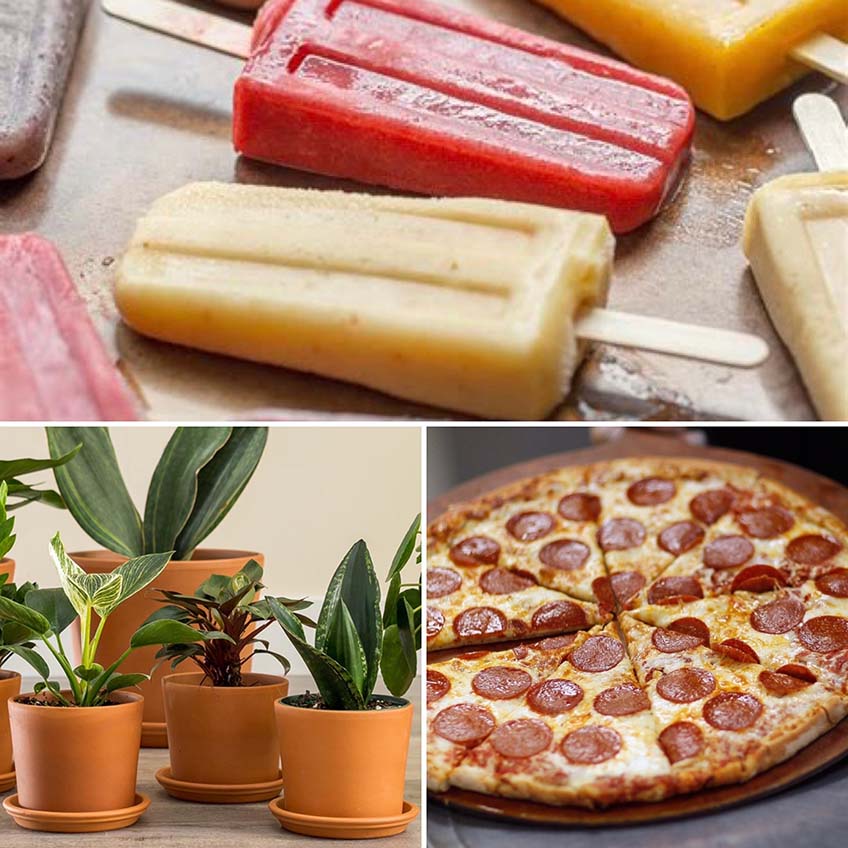 Popsicles, Pizza and Plants