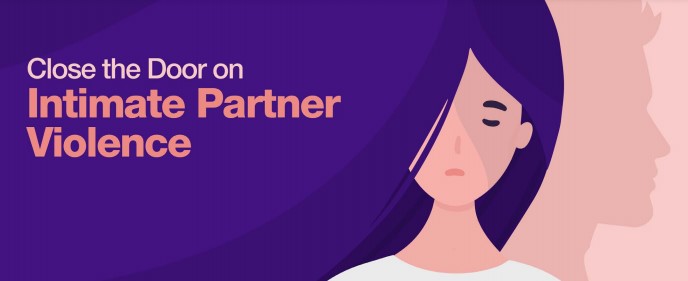 domestic partner violence